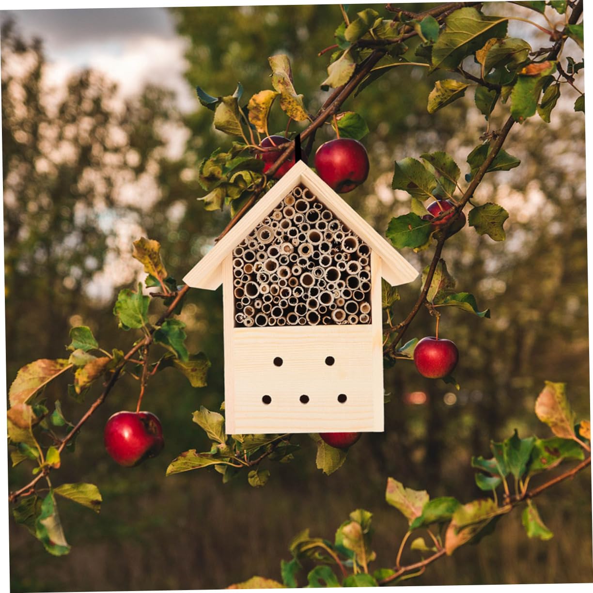 Casetta Insetti Impollinatori 2 Pezzi in Legno Stile Capanna | Khaki, Rifugio per Svernamento e Riproduzione, per Giardino e Uso Esterno