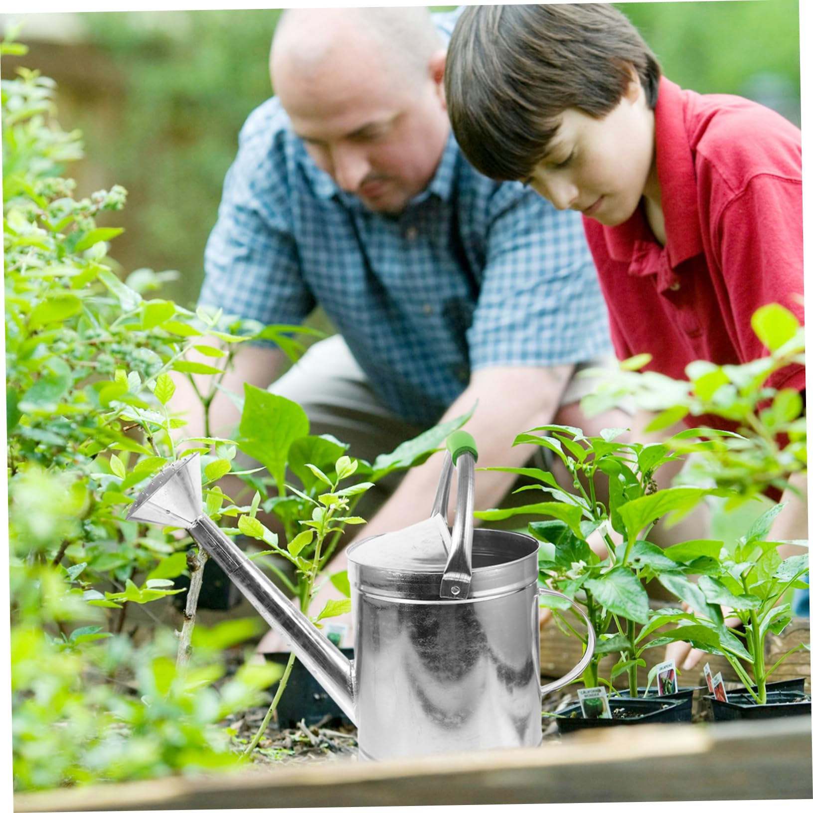 Abaodam Annaffiatoio Per Piant Interno Annaffiatoio Portatile Per Bonsai e Fiori Realizzato in Acciaio Inossidabile Resistente Alla Corrosione Per Innaffiare Piccole Piante in Vaso Scrivan