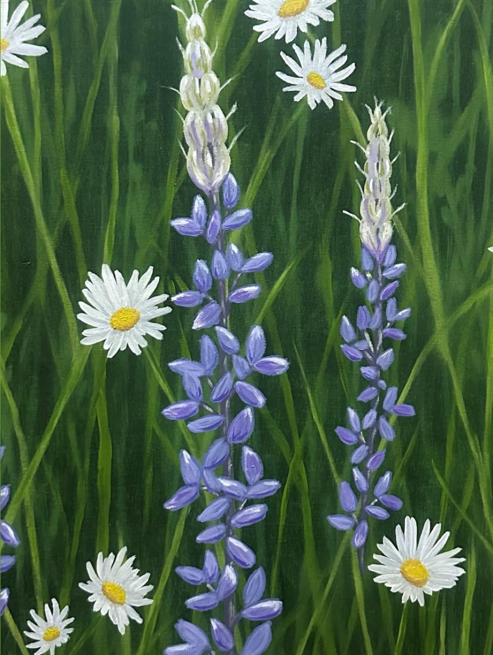 Sketchbook fleurs sauvages violettes et blanches pour dessin et croquis