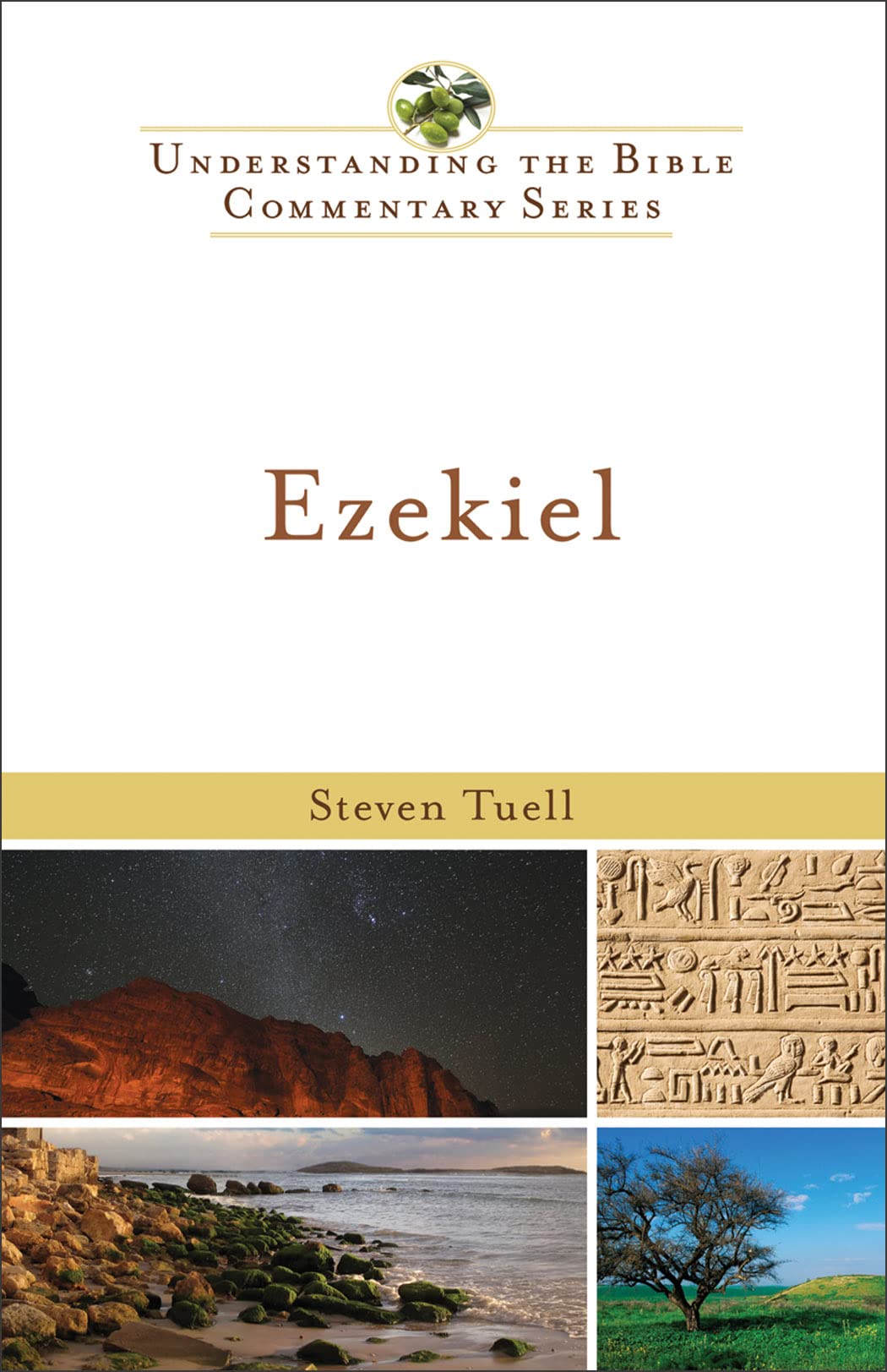 Buy Ezekiel (New International Biblical Commentary, 15) — BookShops.in