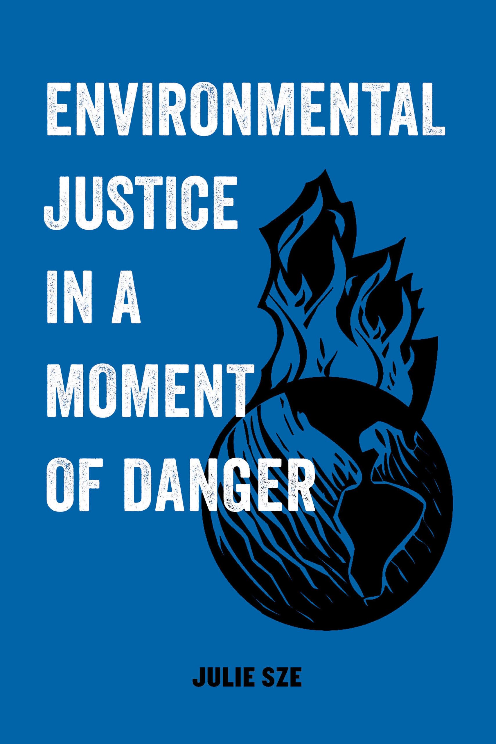 Environmental Justice in a Moment of Danger: Volume 11 (American Studies Now: Critical Histories of the Present)