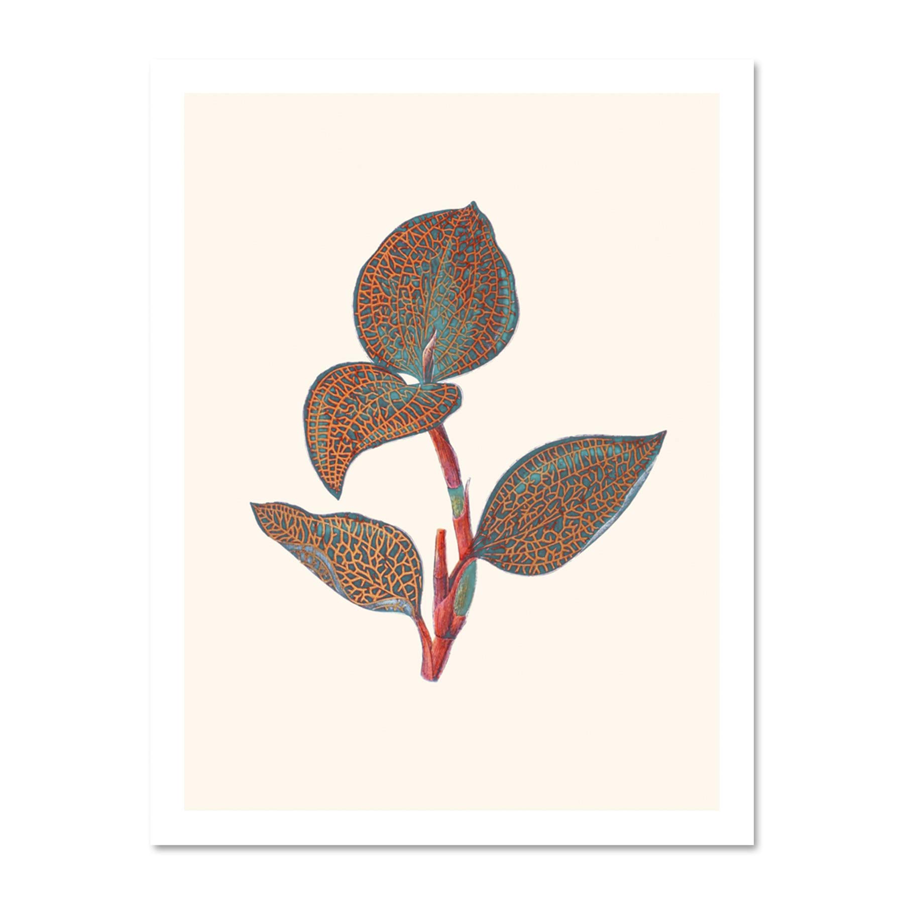 Wee Blue Coo Primary Coloured Exotic Flora Large White Framed Art Print Wall Poster 18x24 inch