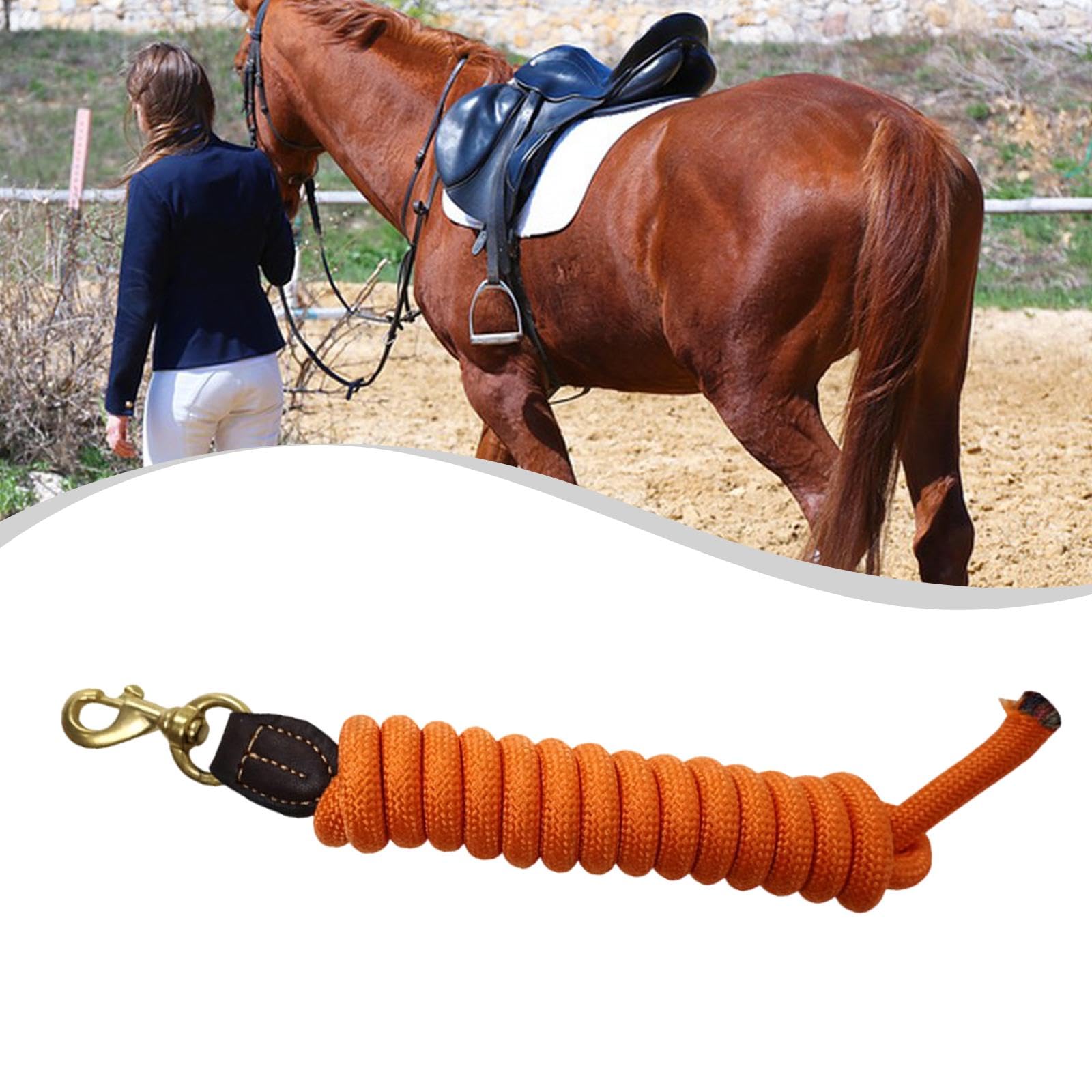 Sharplace Longe d'entraînement en Nylon pour Cheval, rênes de 250 cm, Accessoire d'équitation pour Le Jeu, la Marche et Les Concours.