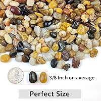 Vista 4 de Piedras de grava para suculentas y cactus de 10 libras, piedras pulidas decorativas de 3/8 pulgadas, rocas de río para plantas, jarrones, acuarios