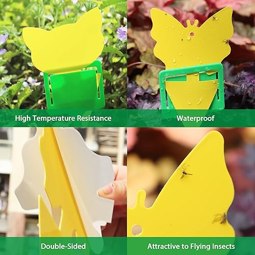 Miniatura 3 de 30 trampas amarillas para moscas de la fruta para interiores, trampas adhesivas para mosquitos de hongos para plantas, trampas de mosquitos para