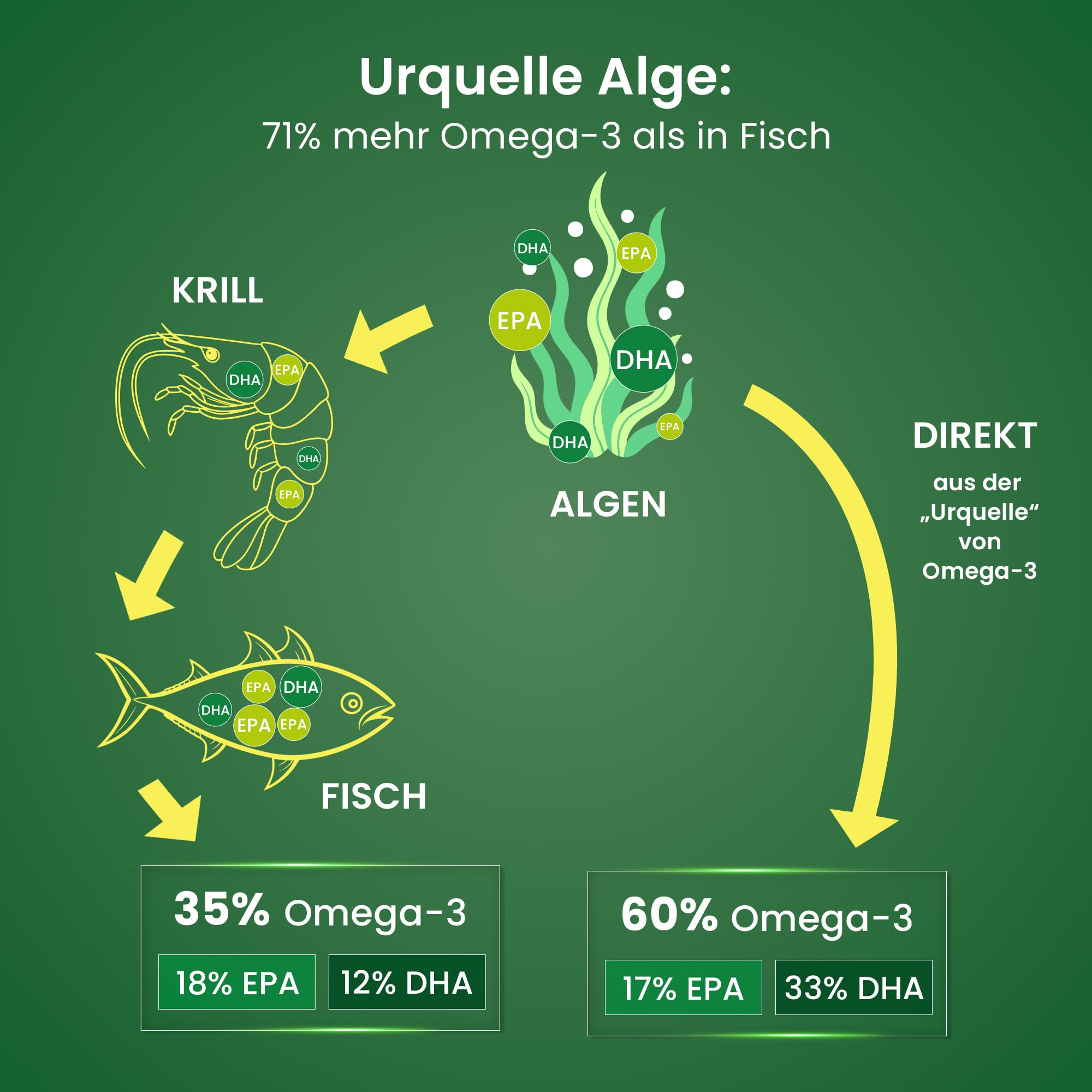 Alsiroyal Algenöl 3000 flüssig 200 ml Vorteilsgröße · 1090mg DHA+610mg EPA | 60% pflanzliches Omega-3 · vegane Alternative zu Fischöl · top Geschmack · stark für Herz, Augen, Gehirn · laborgeprüft