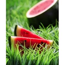 Sugar Baby Watermelon 100 Seeds Citrullus lanatus