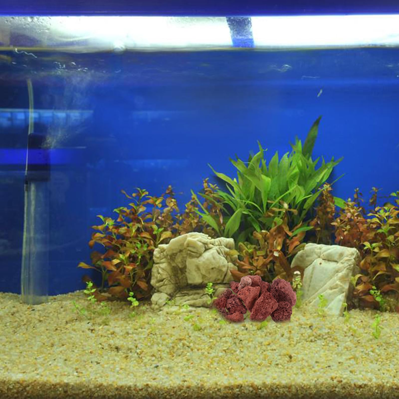 Mipcase Pierre Volcanique Aquarium 2.50 Cm Roche pour Aquarium D’Eau Douce Et Salée Décor du Réservoir De Poisson Cachette Naturelle Pierre D’ Naturelle 500 G