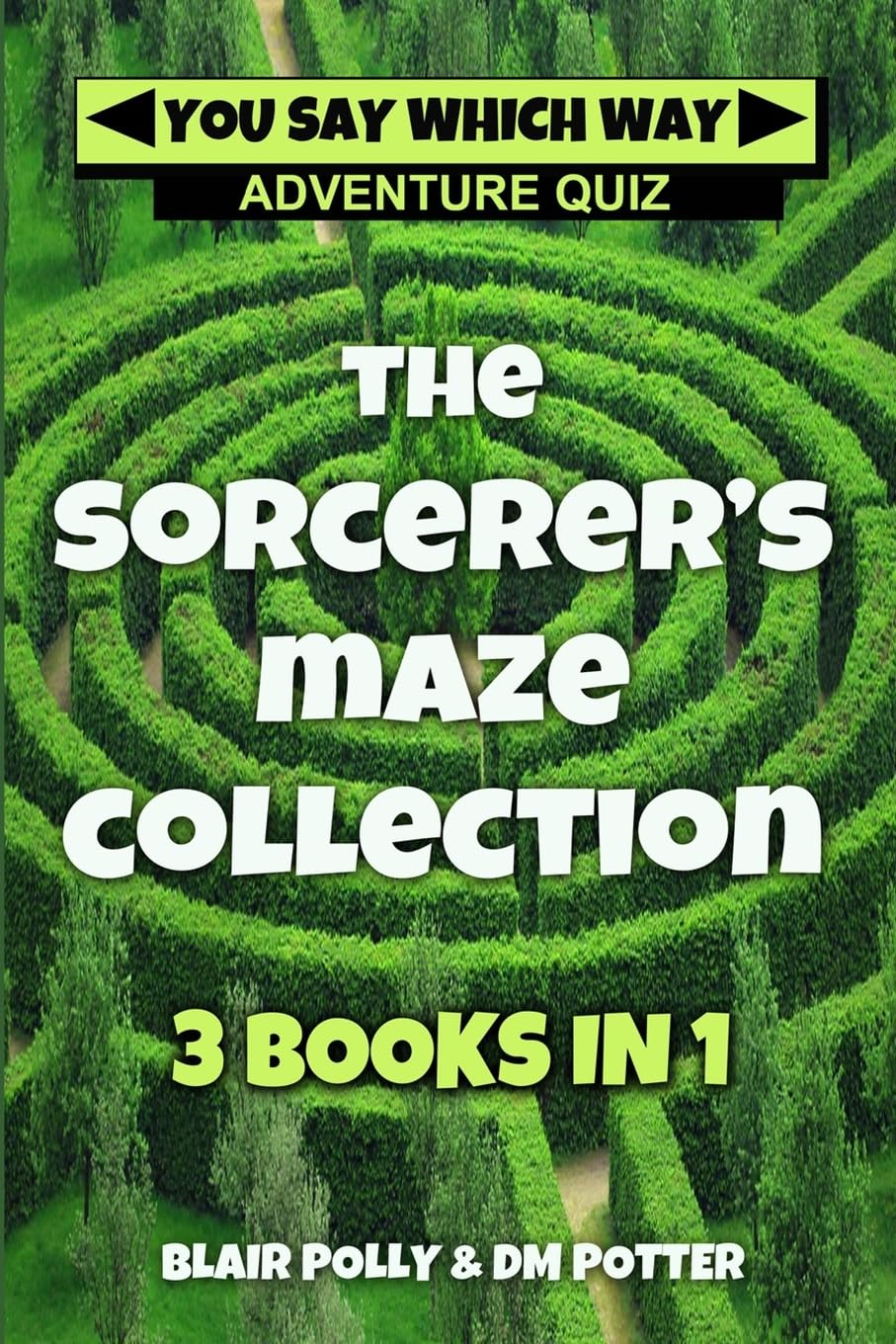 The Sorcerer's Maze Collection: Three Books in One (You Say Which Way Adventure Quiz)