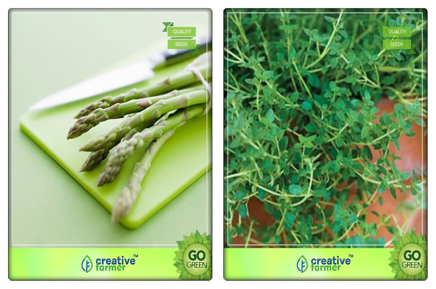 Creative Farmer Herbal Plant Seeds Combo Asparagus, Thyme English
