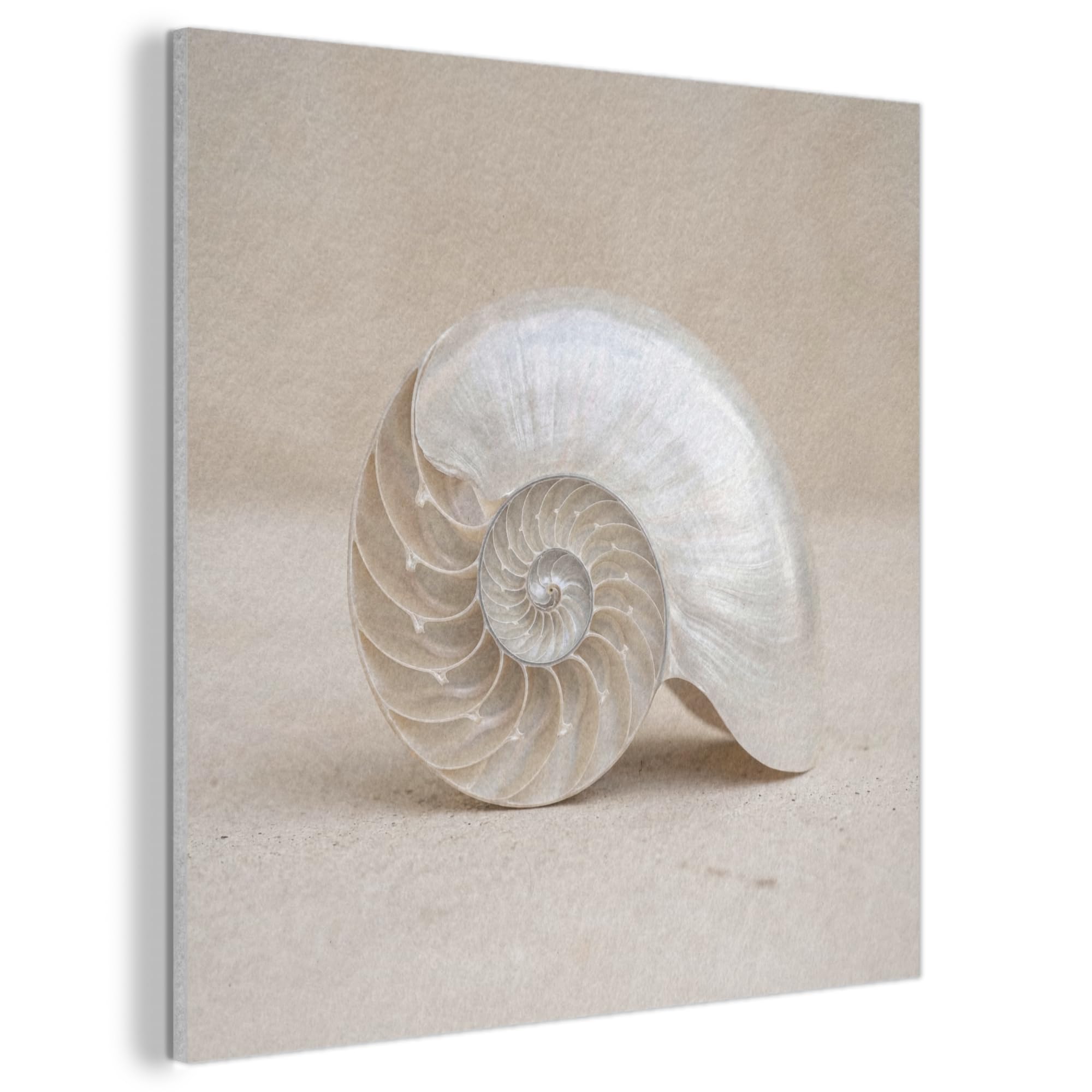 MuchoWow© Felt Panel 90x90 cm Framed Design Print Accent Interior Wallart Decoration Wall Art Shell - Spiral - Beige
