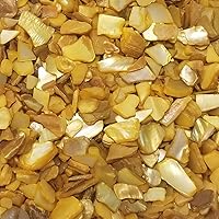 Vista 1 de BeachWalk Pequeñas conchas naturales trituradas, para bodas, relleno de jarrón, decoración del hogar y manualidades (32 onzas (2 libras), perla