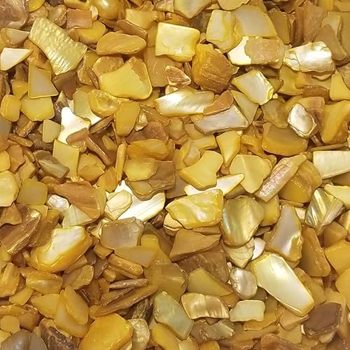 BeachWalk Pequeñas conchas naturales trituradas, para bodas, relleno de jarrón, decoración del hogar y manualidades (32 onzas (2 libras), perla