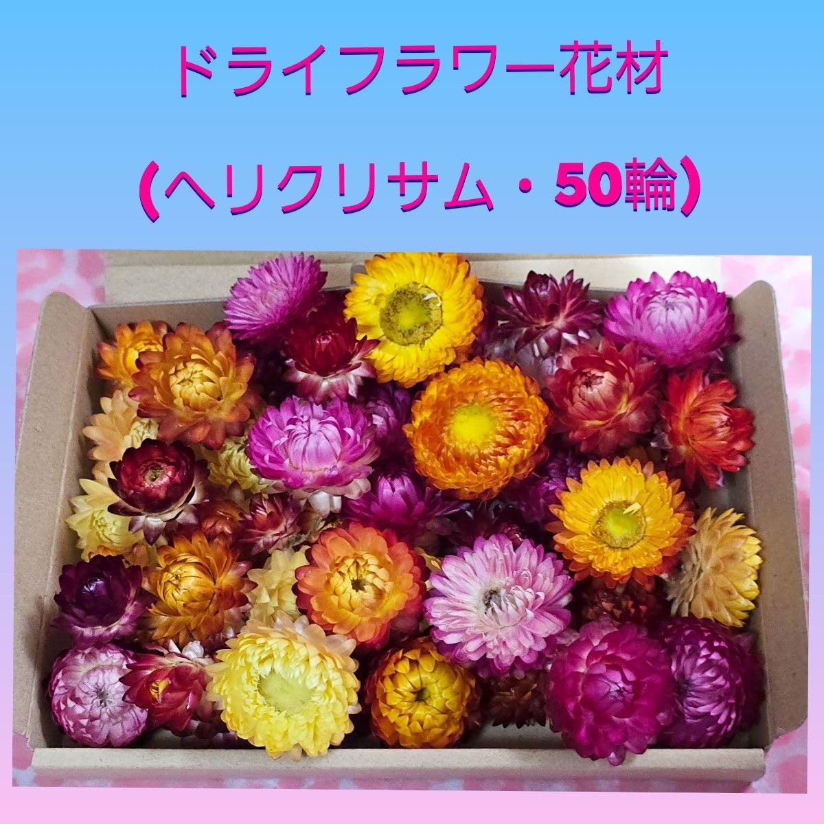 Amazon.co.jp: ドライフラワー花材(ヘリクリサム50輪) : ホーム 