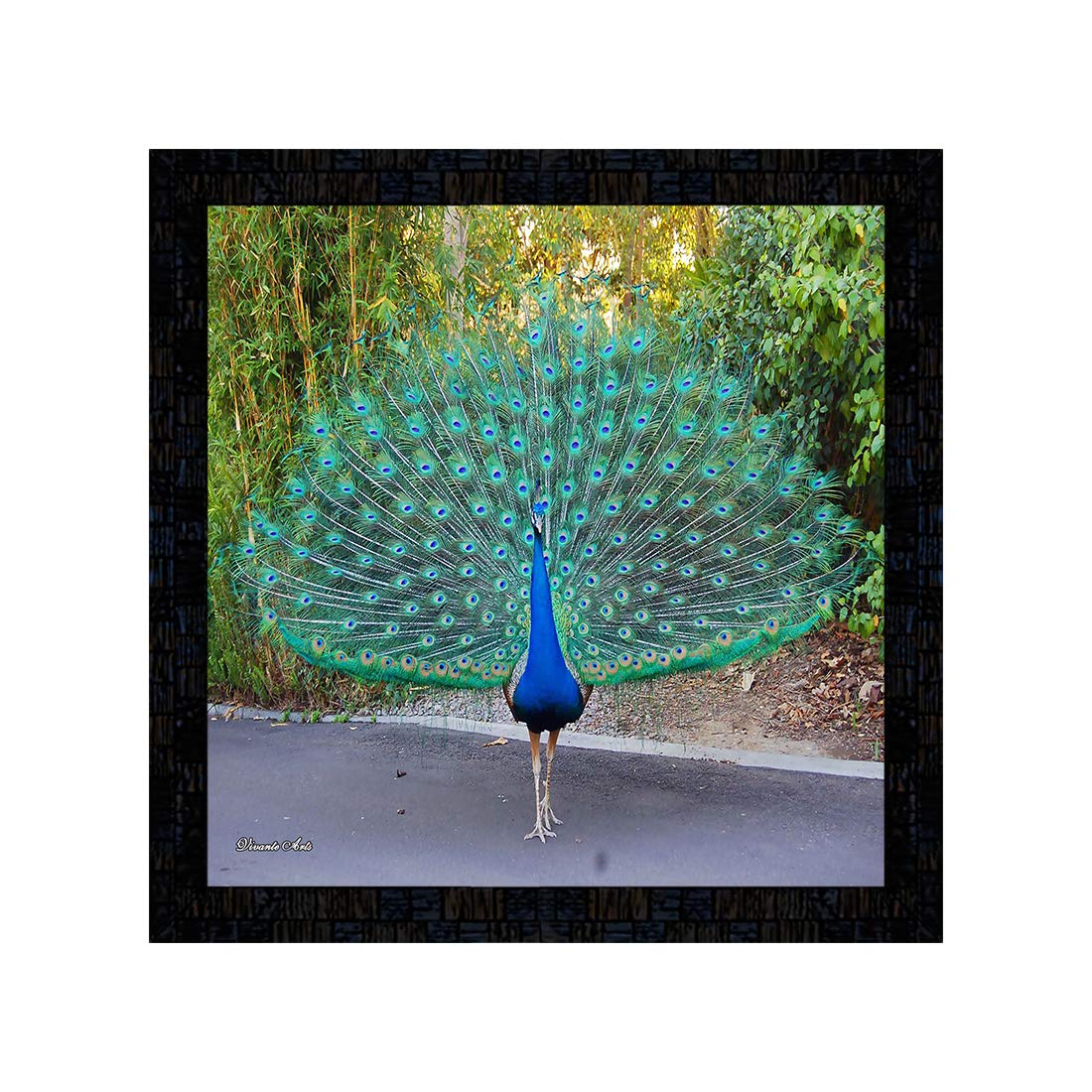 See full amazon price history chart for Generic PnF Framed Poster of Peacock 19673-13x13frame, Multicolour, Medium (PNF-19673-12x12frame) Generic PnF Framed Poster of Peacock 19673-13x13frame, Multicolour, Medium (PNF-19673-12x12frame) (B08266WHNT) Amazon Price History, Amazon Price Tracker