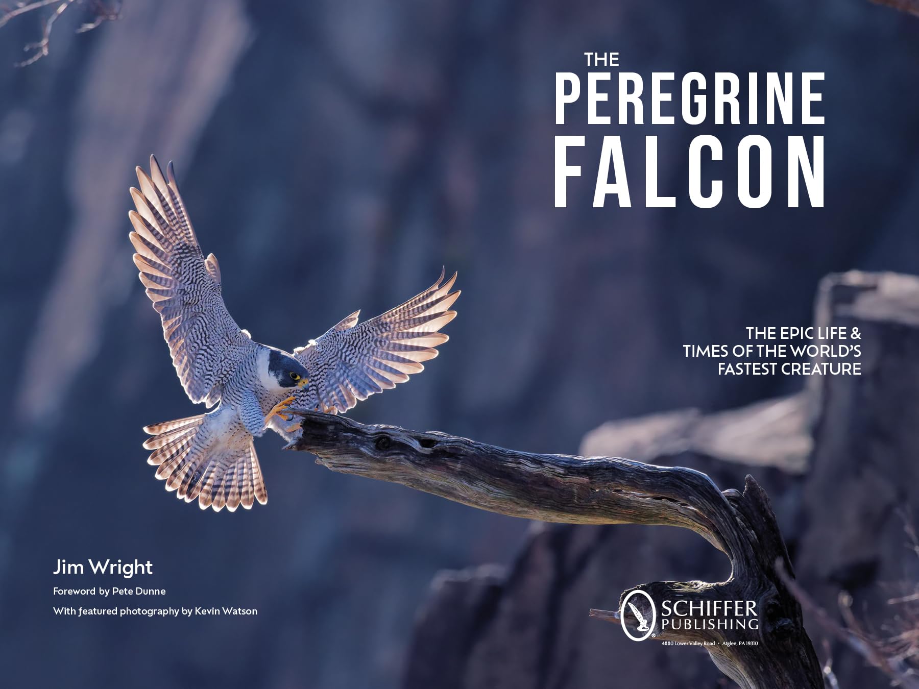 The Peregrine Falcon: The Epic Life and Times of the World's Fastest Creature