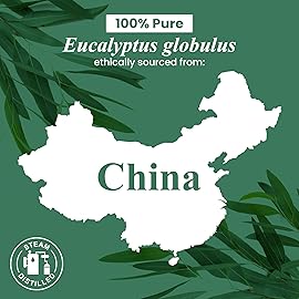 Handcraft Blends Organic Eucalyptus Essential Oil - 1 Fl Oz - 100% Pure and Natural - Premium Grade Essential Oil for Diffuser and Aromatherapy