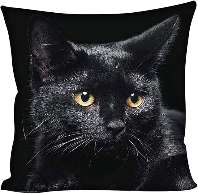 Showudesigns Black Cat Pillow Covers Cushion Covers 18x18 inch Home Decorative Personalised Throw Pillowcase for Kids Women Men Teen Girls Boys Gifts