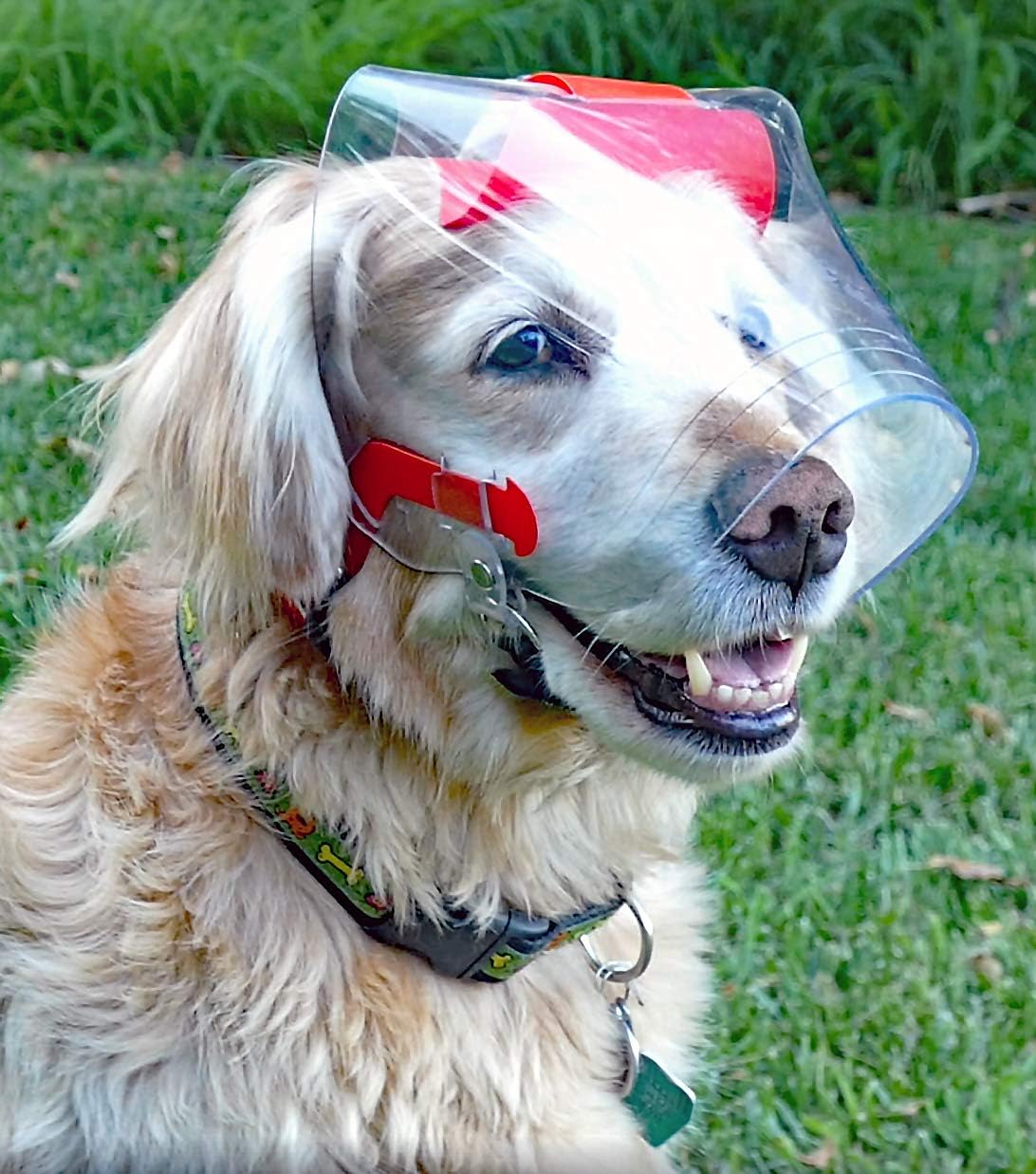 Optivizor (Size Small UV Medical Eye Protection for Dogs