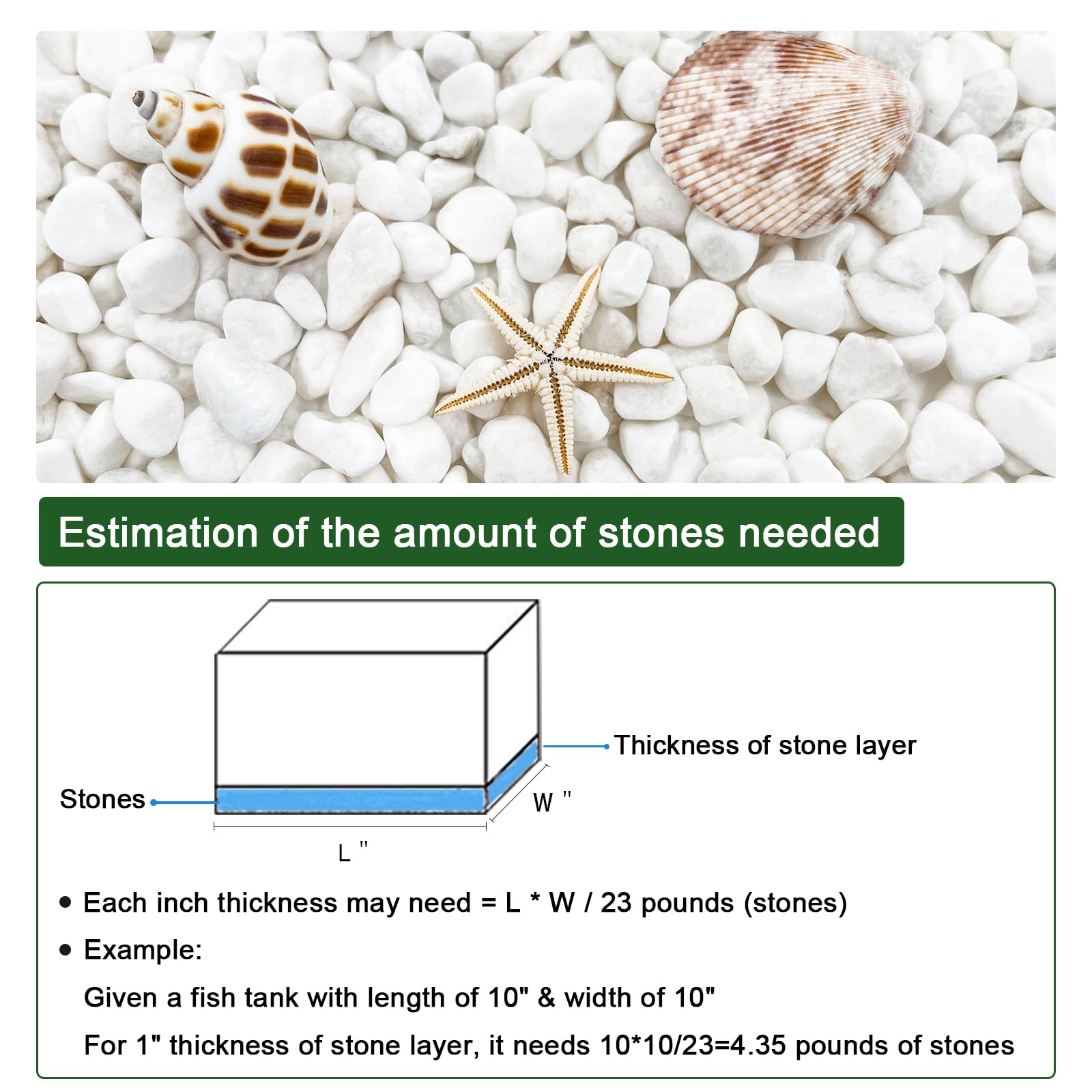 LIVE REEF BASE  2袋　10kg×2 Amazon.com : Carib Sea ACS00457 Seaflor Super Reef Sand for