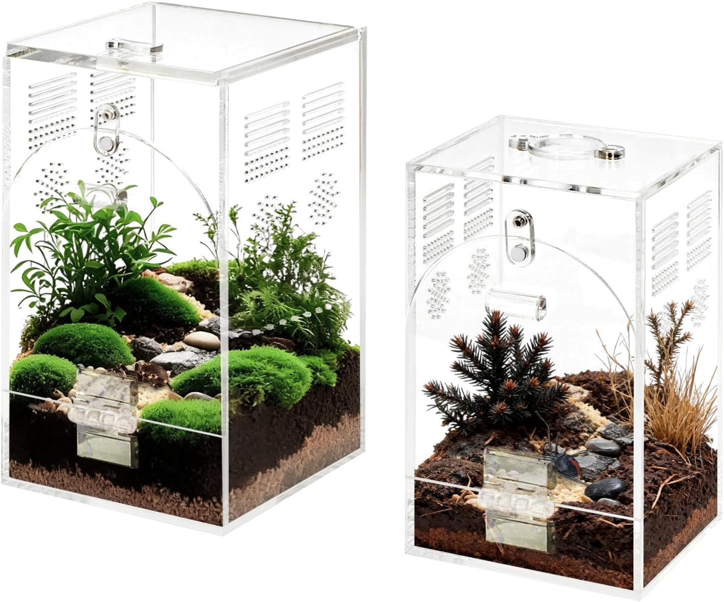 Set of 2 Jumping Spider Enclosure | Acrylic Insect & Bug Terrarium, Praying Mantis Habitat, No Assembly Required, 2-Size Kit
