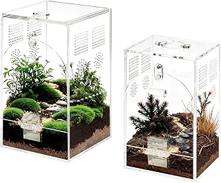 Set of 2 Jumping Spider Enclosure