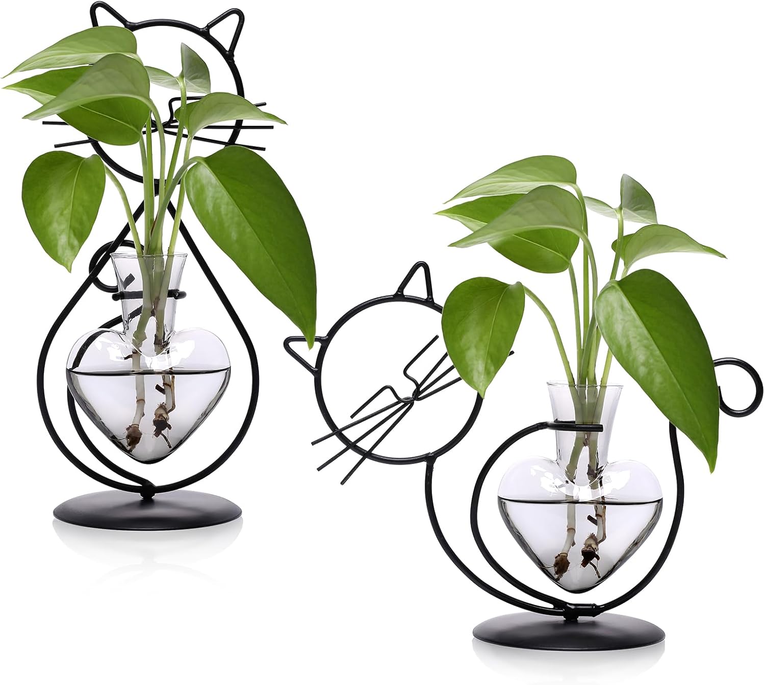 Plant Terrarium Plants Propagation Station Cat Lover Gifts for Women Home Office Decor Cat Desk Accessories