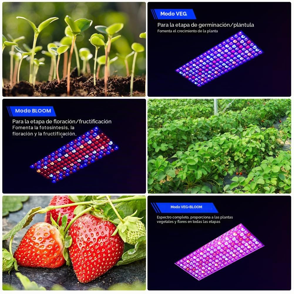 DragonLight 2024 Nueva BW1000 Lámpara LED de espectro completo con UV IR, doble chip LED Grow lámpara con cable de 3 metros para invernadero y plantas de interior, verduras y cultivo de flores [negro]