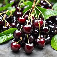 Vista 2 de 1OAK Vela de cereza - Velas perfumadas de cera de soja (Cereza negra) - Velas de soja para aromatizar el hogar - Quema larga premium - Hechas a mano