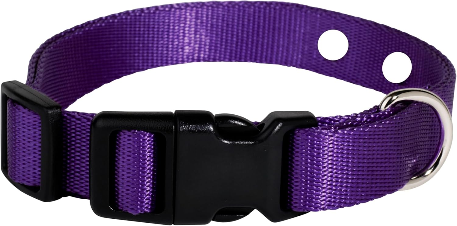 Replacement E Collar Strap Compatible with Mini Educator