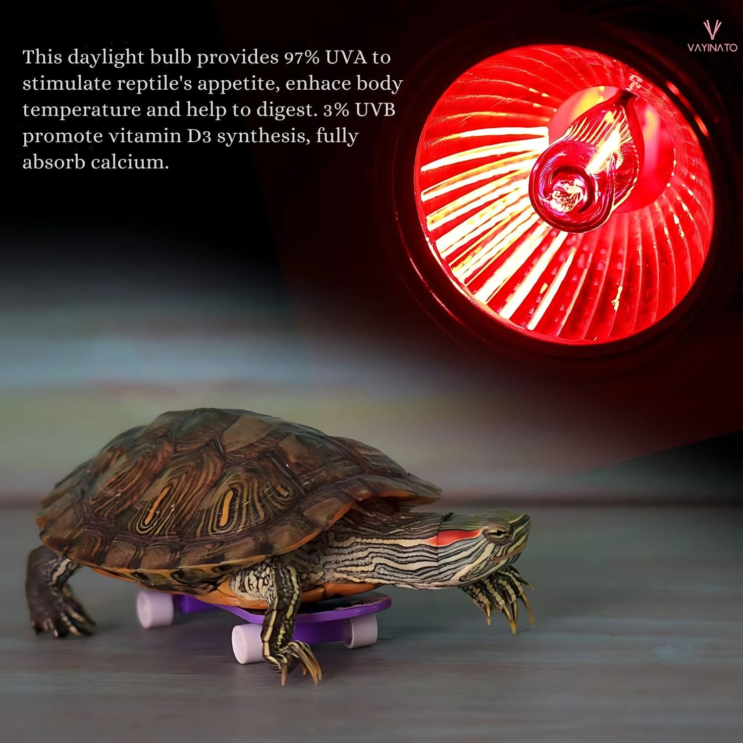 VAYINATO® 50W Infrared UV Rays (Red) Reptile Turtle Heat Lamp Lights, Night Use UVA UVB Aquarium Bulbs by Petzlifeworld 1