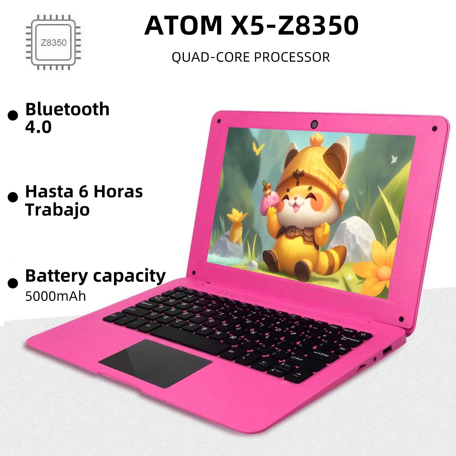 iSTYLE 25.7 cm Windows 10 Ultra cienki laptop Full HD 2 GB RAM 32 GB pamięci masowej [Atom 1,44 GHz Quad Core USB 3.0 WiFi HDMI Bluetooth] akcesoria