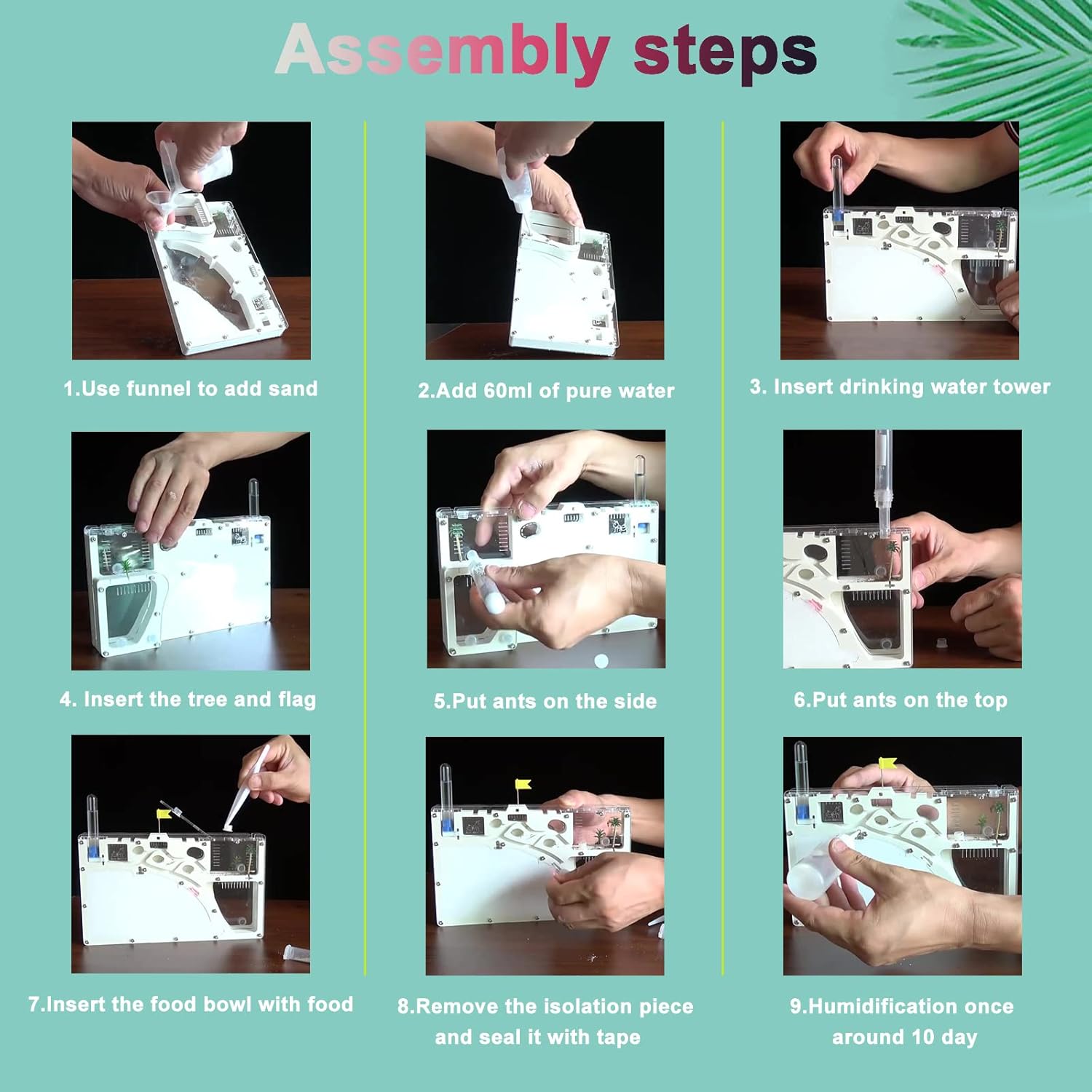 Sand Ant Farm Castle Ant Colony Ecosystem Science Educational Gift Live Ant Habitat to Study Insect Behavior