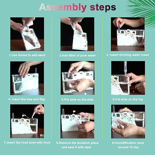 Miniatura 5 de Sand Ant Farm Castle Ant Colony Ecosystem Science Regalo educativo Hábitat de hormigas vivas para estudiar el comportamiento de los insectos..