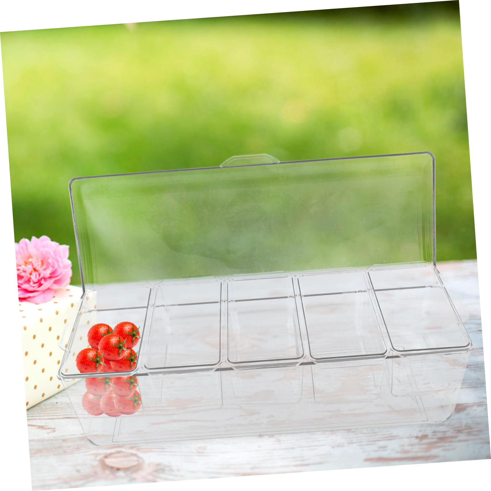Alipis Boîte à Salade pour Conserver la Fraîcheur en Plastique à 5 Compartiments Portable Grosse Capacité, Séparations pour Pique-niques et Usage Quotidien