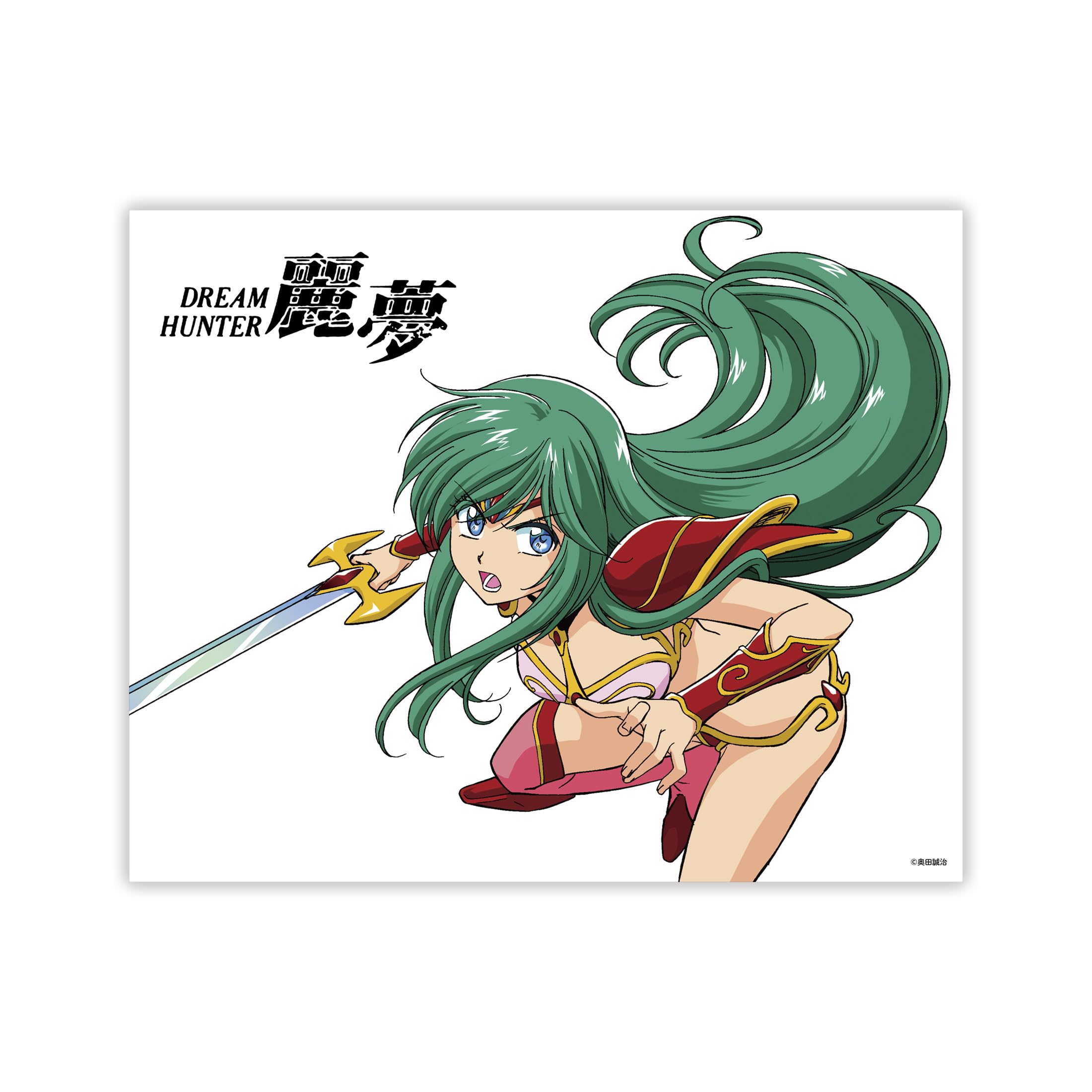 Amazon.co.jp: ドリームハンター麗夢 キャンバスアート : ホーム＆キッチン
