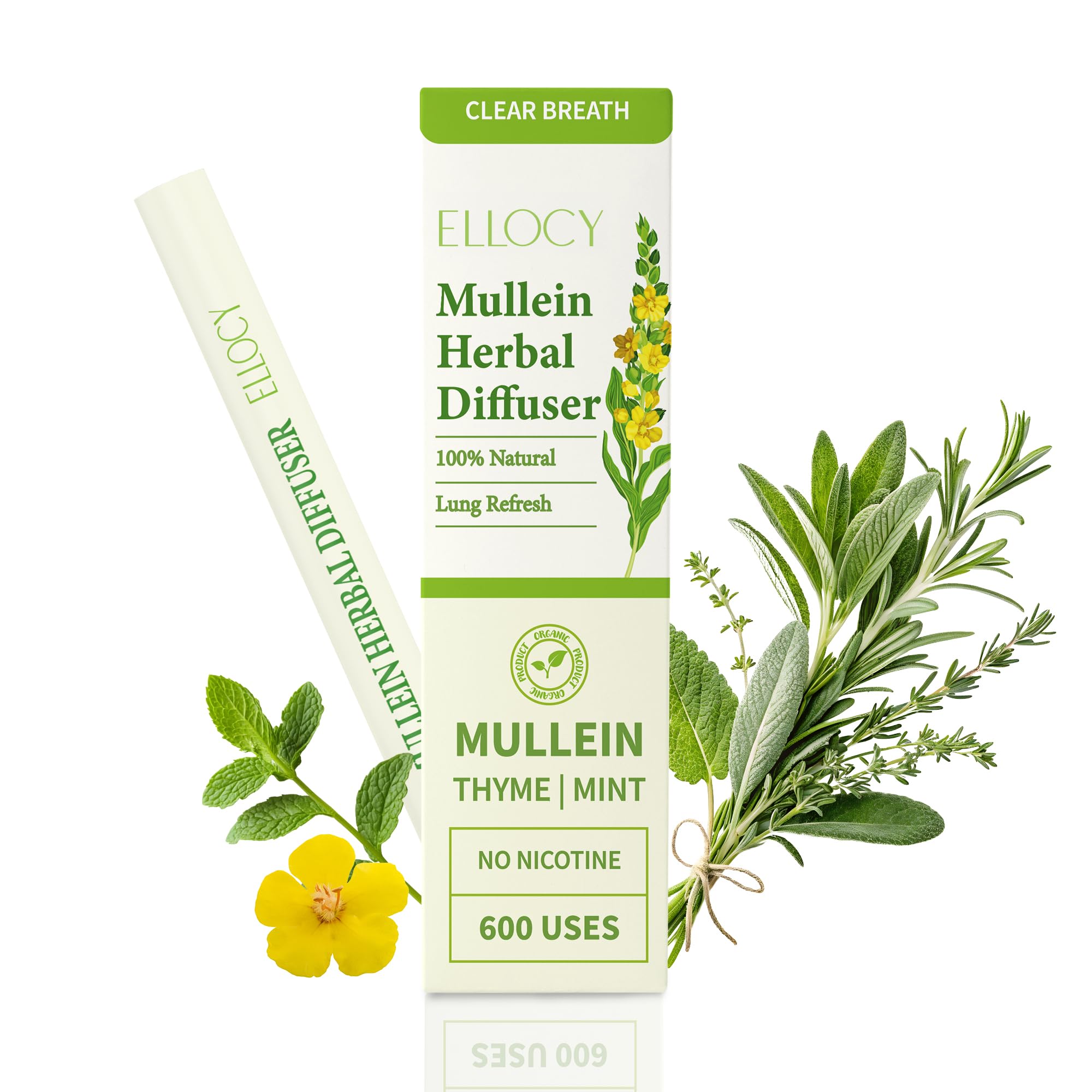 Mullein Herbal Diffuser Pen Upgraded Fomular: Long Lasting Mint Flavor for Detox Lungs- Improving Breathing and Oral Air Freshening (1 Count(Pack of 1))
