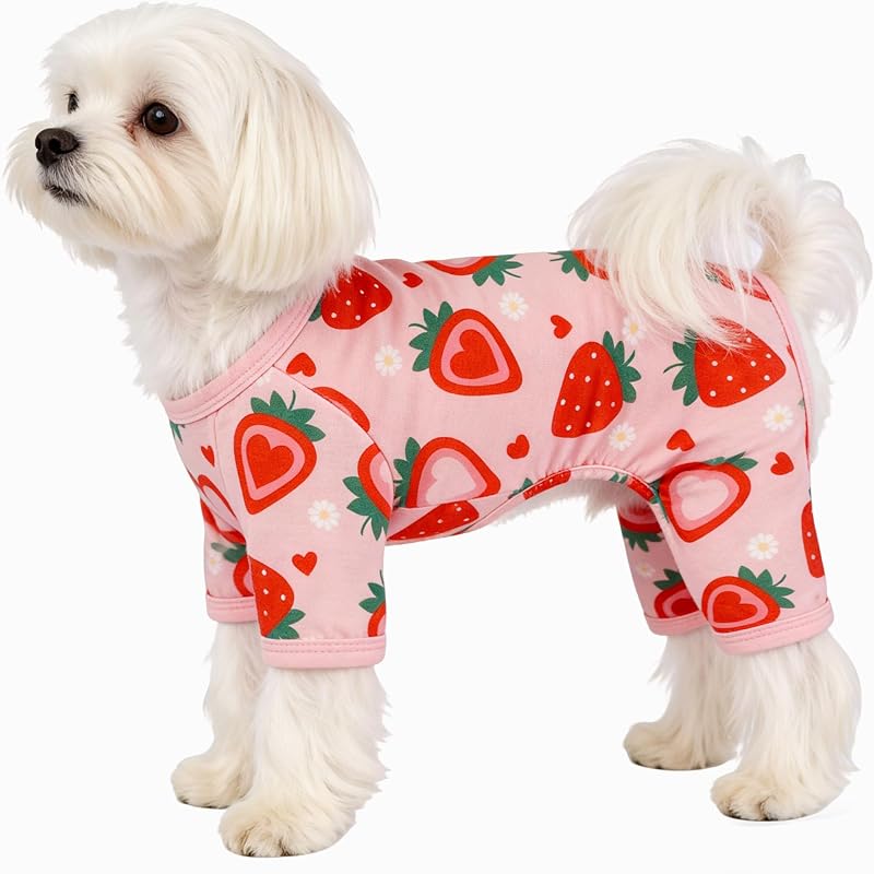 Pijama para Cachorros e Gatos com Estampa de Morango, Macio e Respirável Puppishy (M)