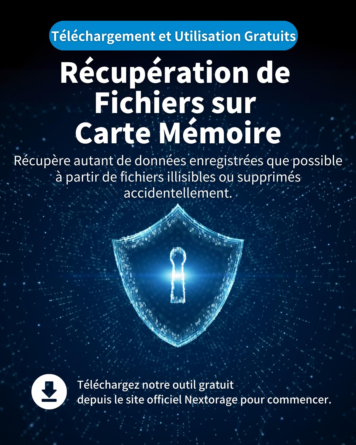 Nextorage Carte Micro SD UHS-II de Fabricant Japonais microSDXC U3 V60 - Vitesse de Lecture maximale : 280 Mo/s - Vitesse d'écriture maximale : 100 Mo/s - Carte microSD NX-M2SE