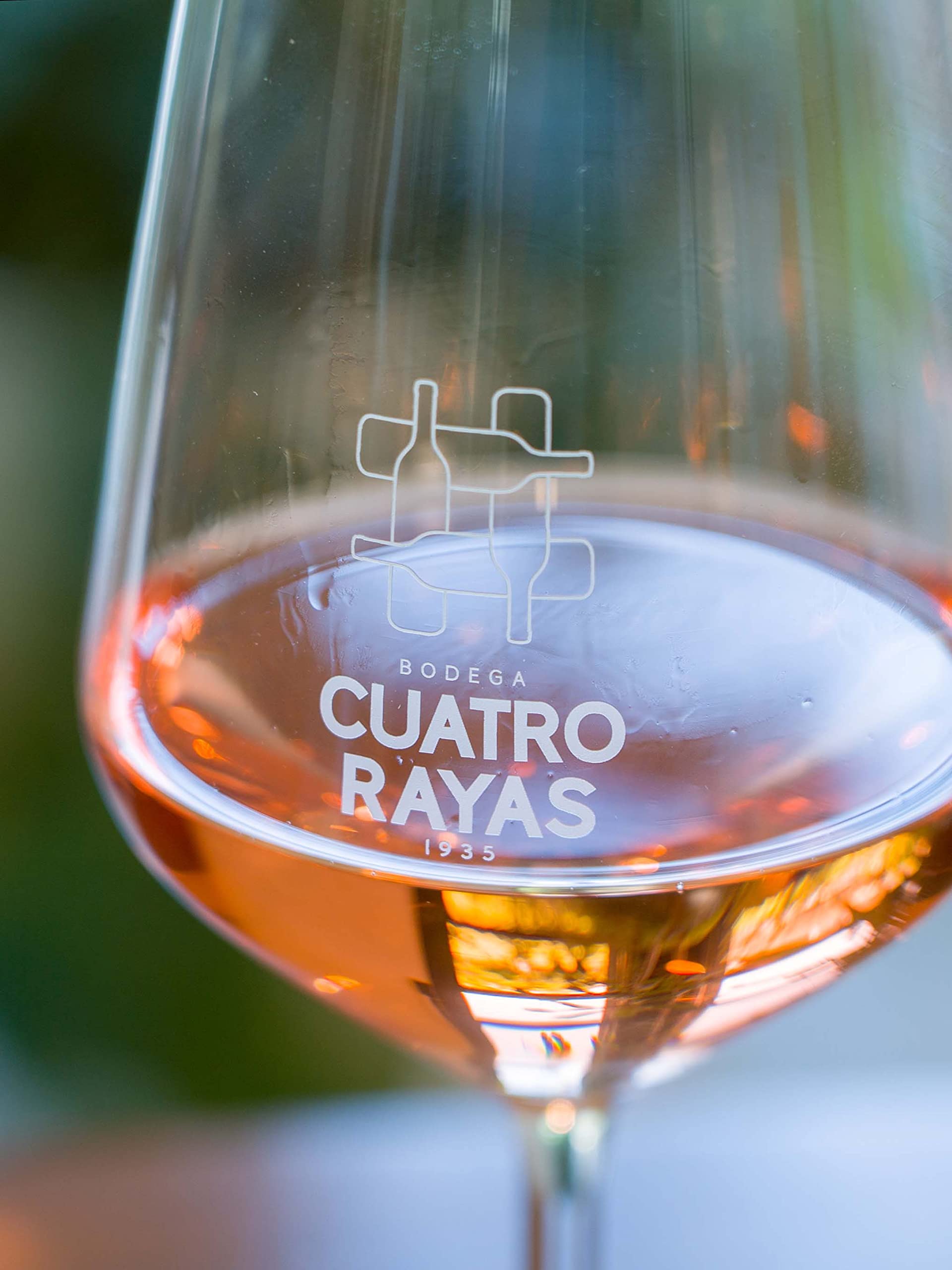 Cuatro Rayas Blush Rose - Vino Rosado (6 Botellas x 750ml)