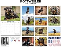 Vista 143 de Razas de Perros 2017