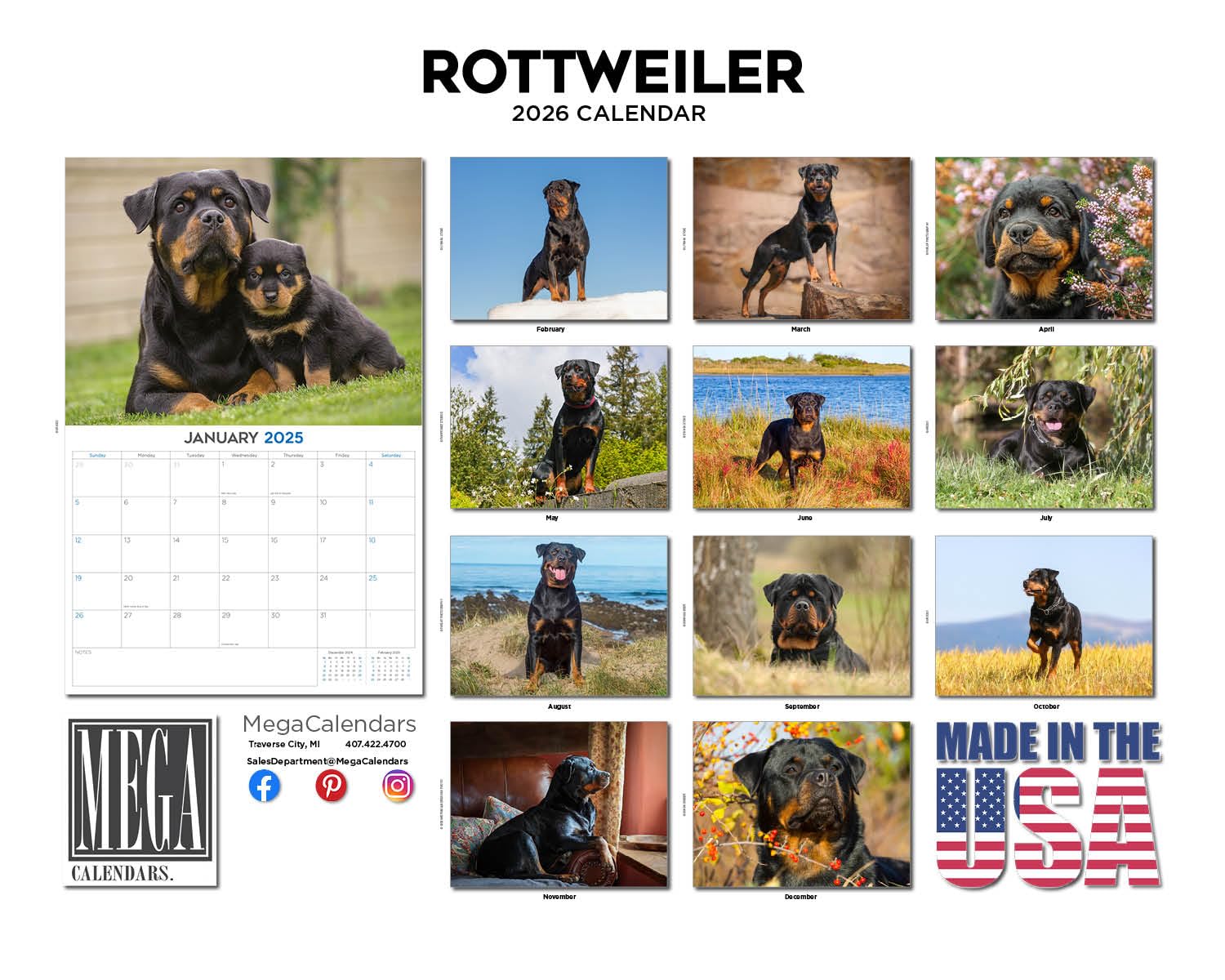 Kalendarz rottweiler 2024 2025 - miesięczny kalendarz ścienny rasy psów - 30 x 45 cm otwarty - gruby papier bez przebarwień - prezent - akademicki planer nauczyciela kalendarz organizowanie i
