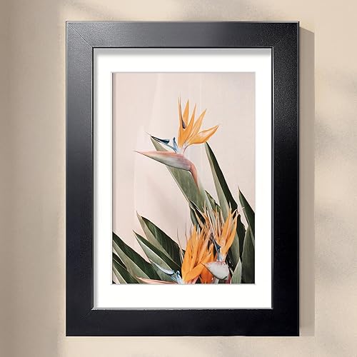 Vista 330 de LaVie Home - Portarretratos de 18 x 24 pulgadas, fotos de 16 x 20 pulgadas con paspartú, de 18 x 24 pulgadas sin paspartú, plexiglás pulido, Negro
