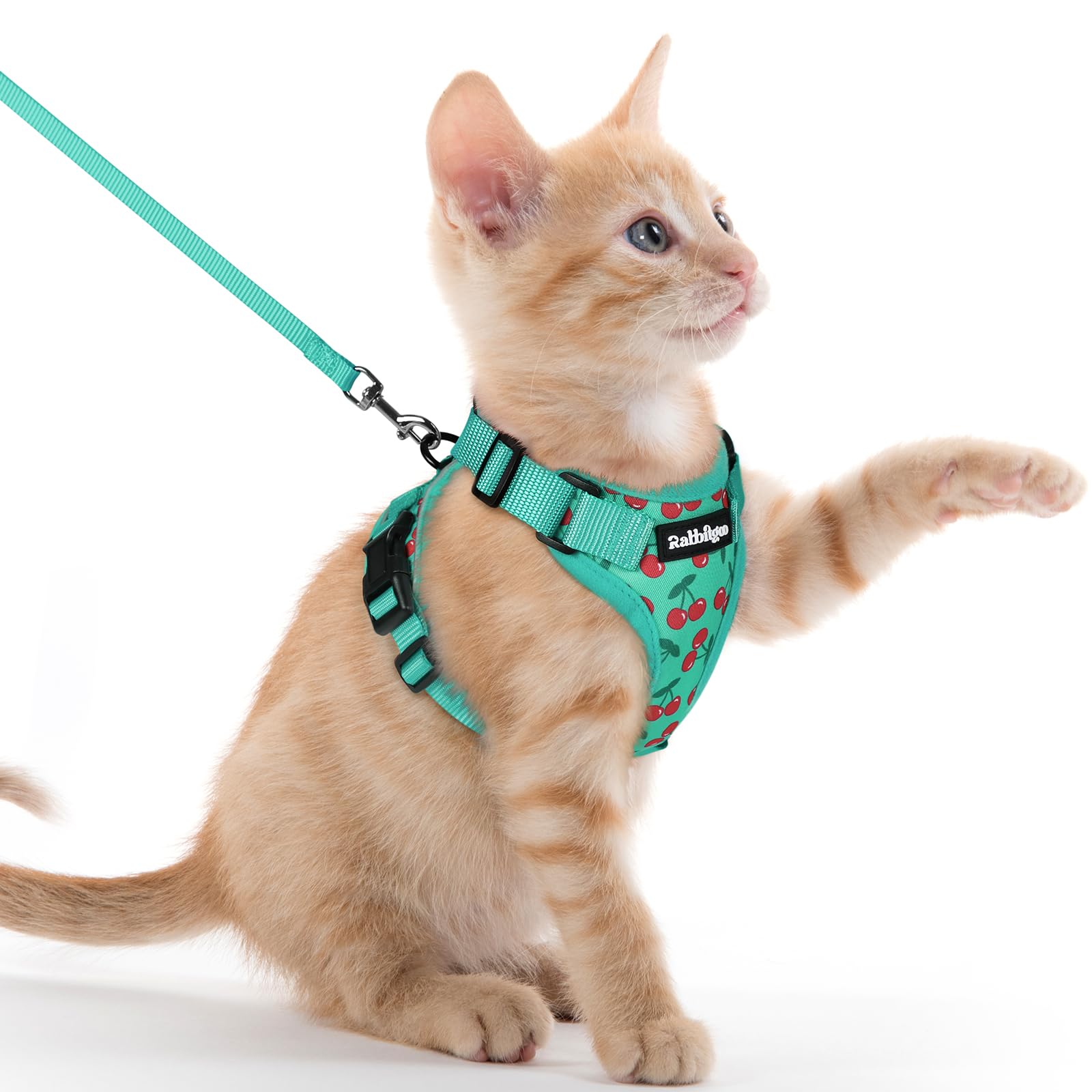 rabbitgoo Cat Harness and Leash Set, Escape Proof Vest, Cherry Grove
