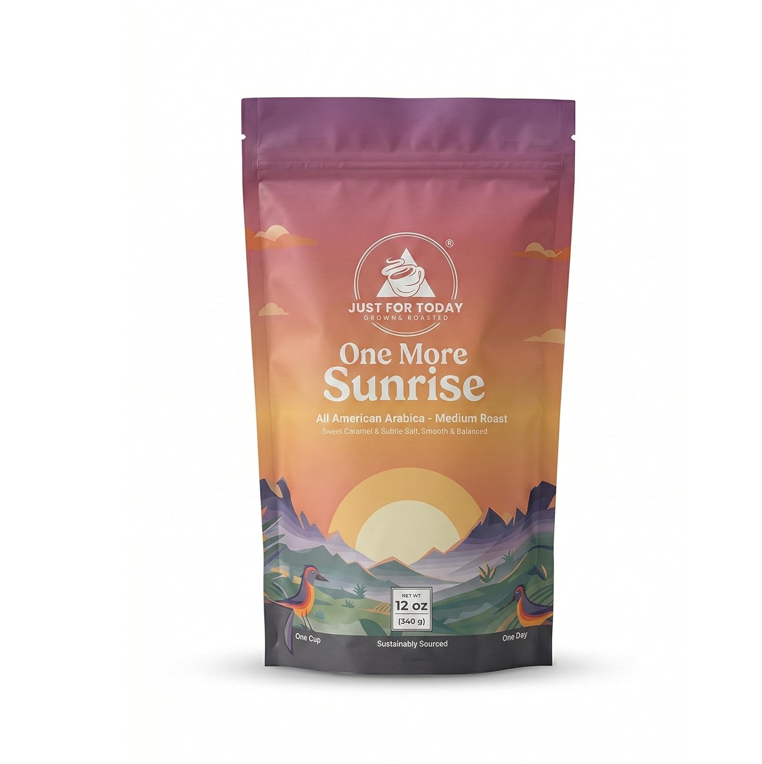 Just for today Gourmet coffee All American Blend, Medium Roast, 100% arabica 12oz (Pack of 1)