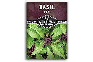 Thai Basil Seed for Planting - Plant & Grow Asian Basil