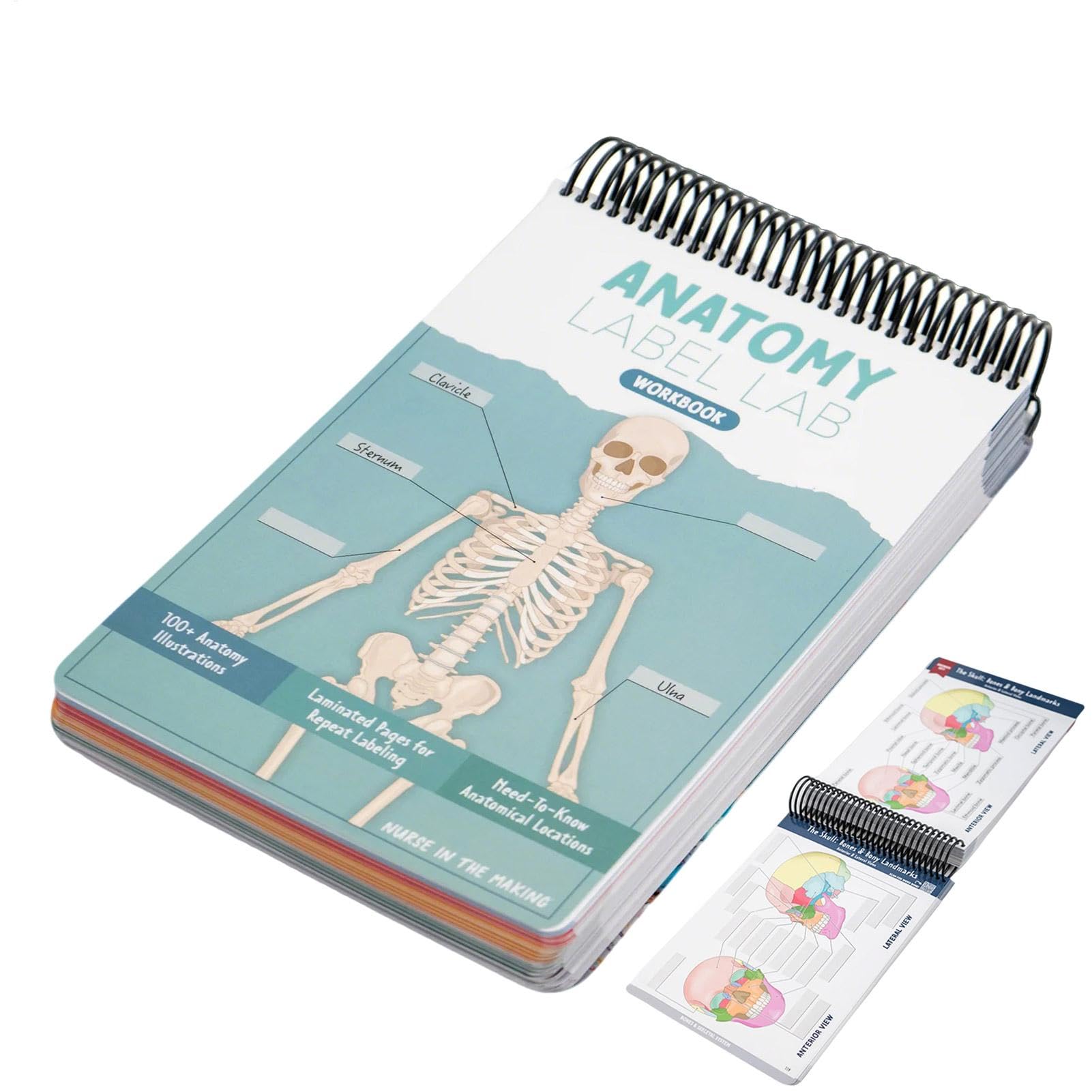 CAHIER D'exercices Anatomy Label Lab - Creative Human Anatomy