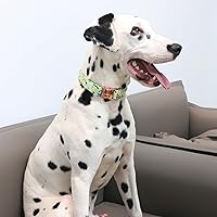 Vista 4 de MR. CHUBBYFACE - Collar de perro de primavera y verano, lindos collares de perro de limón verde, ajustable, duradero, suave, de tela natural