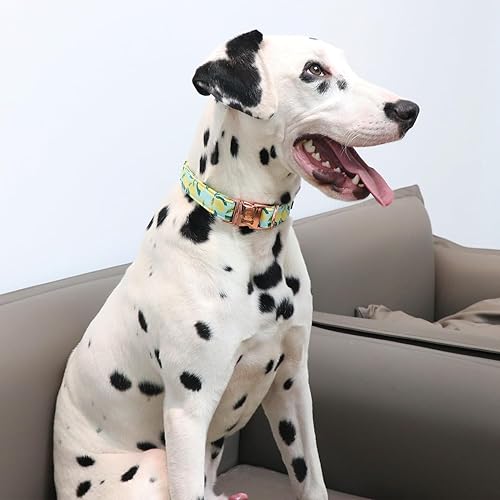 Miniatura 4 de MR. CHUBBYFACE - Collar de perro de primavera y verano, lindos collares de perro de limón verde, ajustable, duradero, suave, de tela natural, para