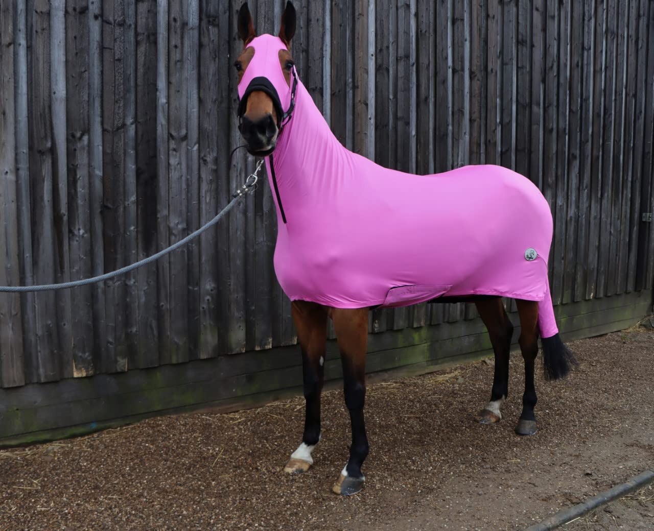 Ruggles Lycra Body Suit for Horse/Pony | Detachable Tail Sleeve | Stretch Under Rug | Ideal for helping to Keep Horse Clean and Plaits in Place (Medium - With Ears, Pink)